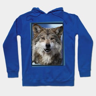 Wolf Hoodie